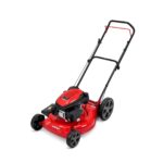 Benzīna zāles pļaujmašīna WORLD 53cm WYS21H-LC1P65FE-B20